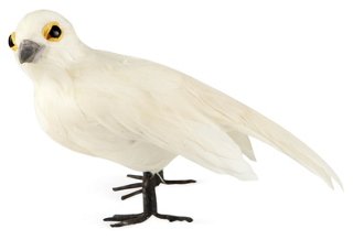 S/2 Dove Ornaments, White